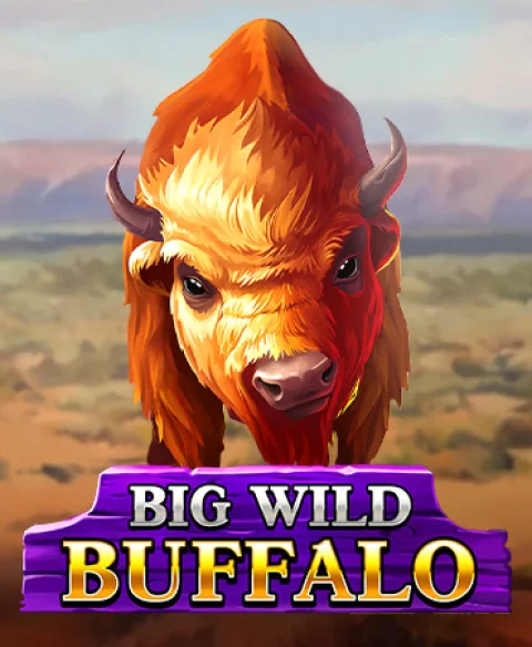 Play Big Wild Buffalo at Bid Bingo Casino